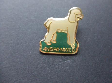 Rashond Poedel Portugese waterhond